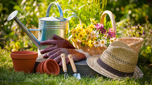 Shutterstock jardin naturel bio france jardinage 05